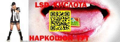 прущая мука Донецк