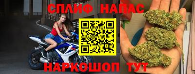 гидропоника Дубна