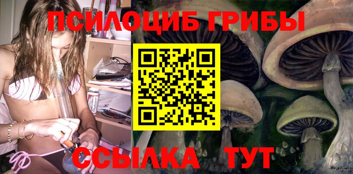 Псилоцибиновые грибы Psilocybine cubensis  Вход с VPN  Миасс 